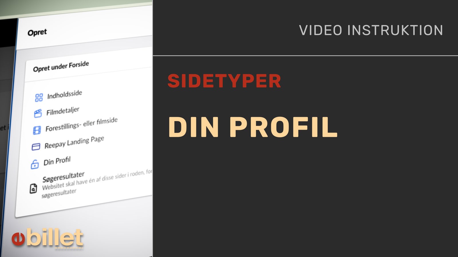 #29_2_DinProfil.jpg