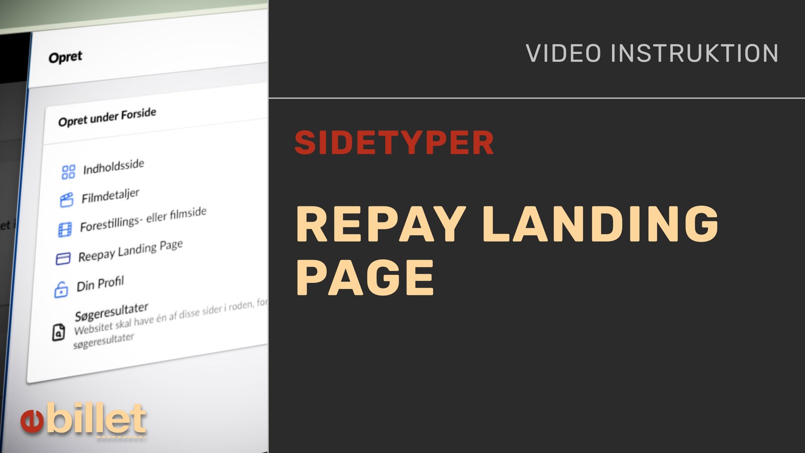 #29_2_RepayLandingPage.jpg
